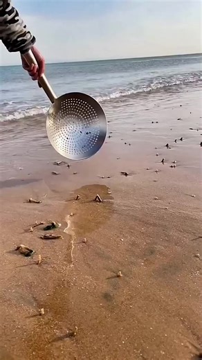 motivation speech (@motivationspeech0012)’s videos with original sound - SunShine Vibes