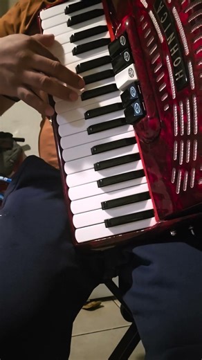 sonido del silencio en acordeón de teclas tutorial #tendencias