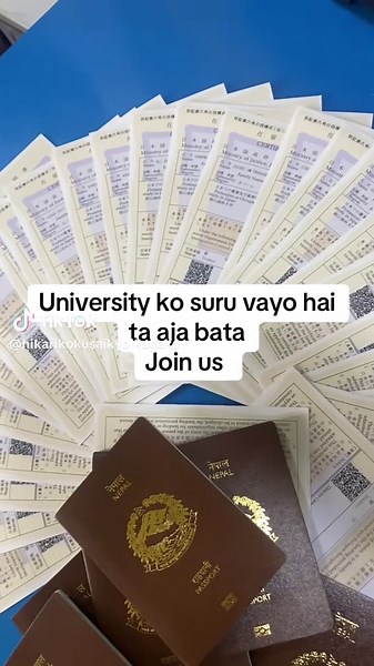 Study in Japan: University Experiences and Opportunities