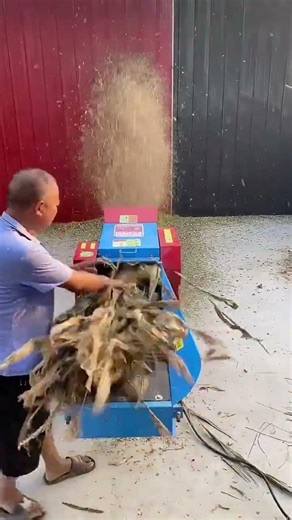 Perfektes Häckselgut für Futter & Silage#farming #chaffcutter
