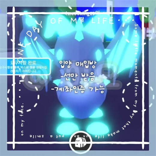 입양 매입방 안내 및 인증 정보