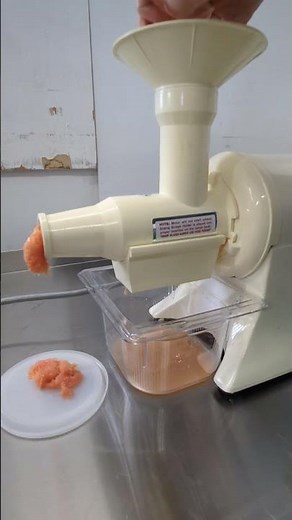 Lot 129 - The Champion 2000 G5-NG-53S Vegetable/Fruit Juicer