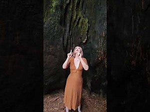 Into The Redwoods - Dainty Rascal Explores