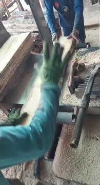 Sawing a large log with a power saw.