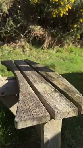 16 reactions |  GET READY TO ELEVATE YOUR RUNNING AND GYM EXPERIENCE...