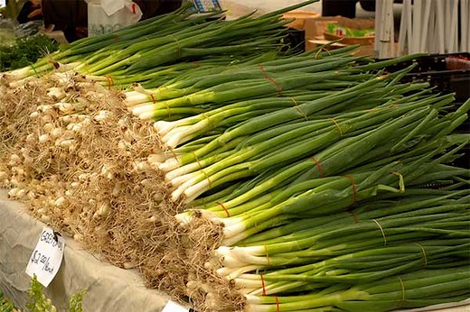 Scallions vs Shallots: Unveiling Key Differences and Uses