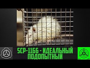 SCP-1166 - Идеальный подопытный 【СТАРАЯ ОЗВУЧКА】