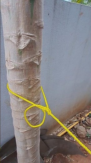 Secure Anything with the Bowline Knot: Easy Step-by-Step Guide