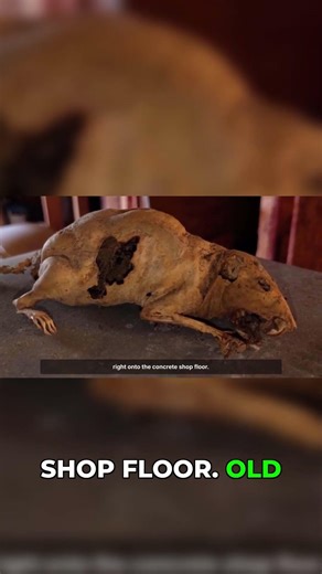 1970 Plymouth Cuda Rebuild Gets Terrifying Surprise #restoration #classiccars