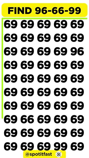 Can You Find 96-99-66? 🔥 Only 1% Succeed!