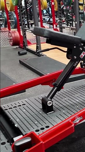 World Gym Chullora Newtech Fitout