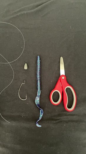 As requested by the comments#texasrig #worm#hook#bulletweight #scissors #fishing #tips#and#tricks#fypシ #fyppppppppppppppppppppppp