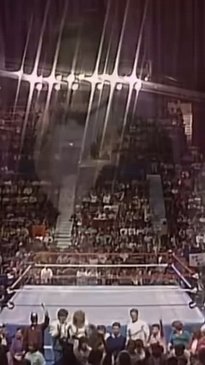 Flashback Rewind on Instagram: "Flashback Rewind 1989 “Everybody’s got a price for the Million Dollar Man!” – Ted DiBiase In 1989, during a classic promo with “Mean” Gene Okerlund, Ted DiBiase unveiled the extravagant Million Dollar Championship Belt. Covered in gold and encrusted with cubic zirconia (with a few real diamonds), the custom title was DiBiase’s way of proving that his wealth and power could buy him anything — even a championship when he couldn’t win one. This promo built hype for T