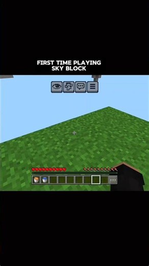 First Time Playing Skyblock:The Ultimate Minecraft Challenge
