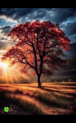 Amazing Universe (@amazinguniverse88)’s videos with Inspiration - Leonardo Travensoli