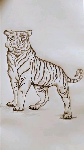 How to draw line drawing