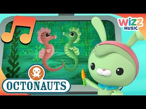 Creature Report - Seahorses | Songs for Kids | Octonauts | Wizz Music