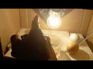 Explicación rápida incubadora casera con Arduino