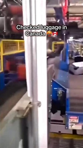 SUBSCRIBE AND COMMENT "LINK"🔗 TO GET THE PROUDCT🙌🎉. #travel #luggage #backpacking #world #shorts