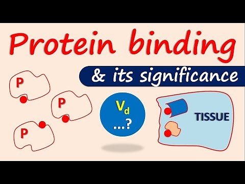 Protein binding and its significance