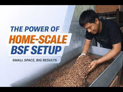 Step 2/2 : Maggot BSF Home Scale Setup