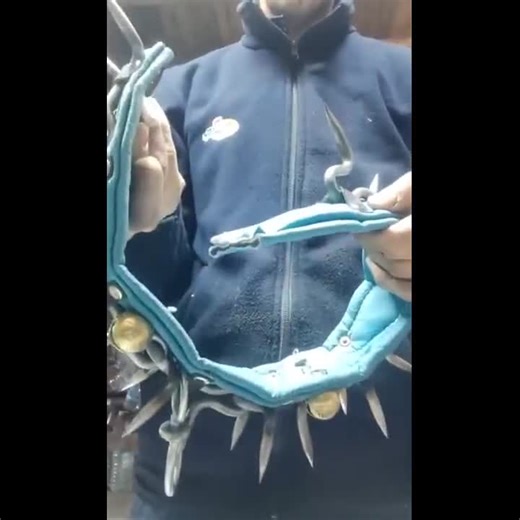 Spiked Leather Dog Collar Leash Felt Padded - Etsy