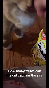 How many Temptations treats can my cat catch in the air?