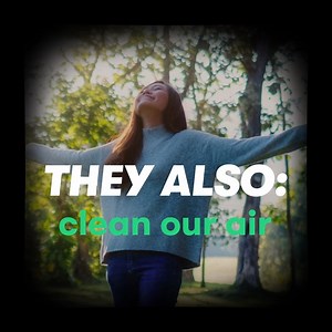 19 reactions · 7 comments |  Trees have a tangible ability to sense...