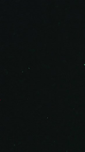 5.1K views · 550 reactions | Introducing... Blackberry Smoke Halloween 2025 in Shreveport, LA | Blackberry Smoke | Facebook