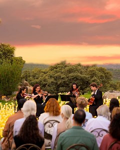 2.8K views | This is your last chance for an unforgettable summer with Candlelight! | Candlelight Concerts by Fever | Facebook