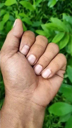 Cut from @ANYUNIQUEANIMALSShareSURVIVAL SKILLS: hand is craping #funny