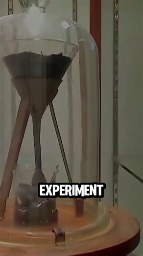 The Slowest Experiment Ever 🤯