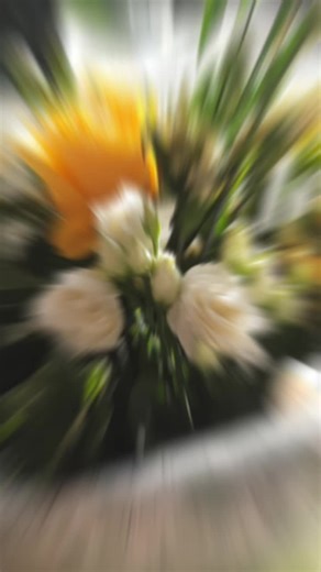 @Vivaldi Flowers #flowerslovers