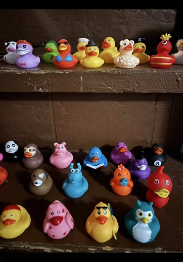 Let the Disney cruise shenanigans begin #disneycruise #disneydream🚢🚢