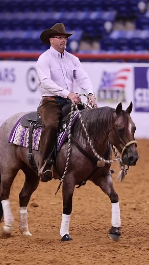 That really got outta hand quickly #cowhorse #downunderhorsemanship #clintonanderson #horse #accident #horsesoftiktok #wreck #prada #reinedcowhorse