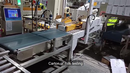 Smart Weight Checker Food Grade Checkweigher Checkweigher with Data Logging