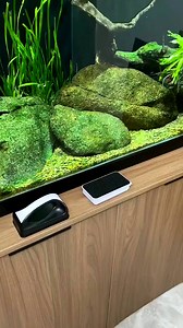 136K views · 949 reactions | Super Strong Magnetic 鱗 Aquarium #trending #aqurium #fishaquarium #fishtanksetup #fish #shortsfeed #fyp #reels #viral | Aquatic Wonders Hub | Facebook