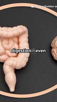🍽️ Why Chewing Your Food Actually Matters — The Digestion Hack You’re Ignoring!