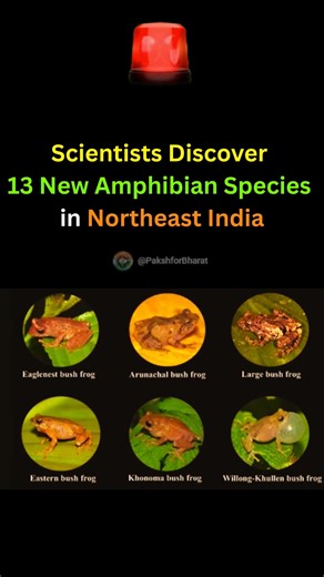 WII study adds 13 amphibians to India’s biodiversity list #northeastindia #amphibians #discovery