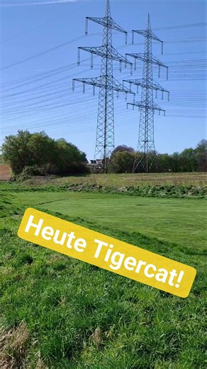 F7F Tigercat von Freewing - Karsten kann es nicht lassen! #modellflug