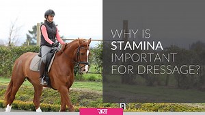 *Last Chance To Register. Starts Monday!😊* --- --- --- --- --- --- -- Studies have shown a correlation that being fitter and stronger in the saddle decreases your risk of falling from your horse. This is reason alone to want to improve your stamina! When you tire your reactions slow and your judgement becomes impaired. Improved stamina allows you to ride for longer, maintain mental clarity and not make mistakes. Do you tire quickly, or find it difficult to ride for extended periods of time? Do 