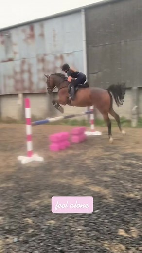 he’s changed my life 🤍 #fyp #foryou #foryoupage #equine #equestrian #horses #horsesoftiktok #warmblood #showjumping #agri #agriculture #bayhorse #dressage #huntingseason