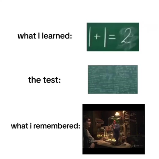 #whatilearnedtoday #umpalumpa #meme #wonka #wonkamovie #williwonka #timotheechalamet #fyp #fy
