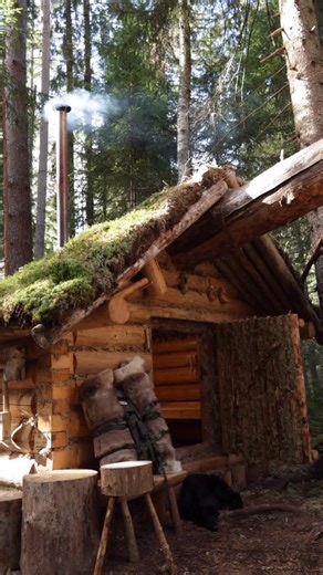 Carving birch bowl near my bushcraft hut 🛖🌲 Full video on my YouTube channel 😉 . #bushcraft #asbjornbushcraft #greenwoodcarving #woodcarving #diy #logcabin #offgridliving #woodcraft | Asbjorn Olsen-Berg Bushcraft