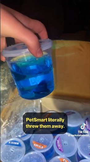 PetSmart throws LIVE animals into dumpster.