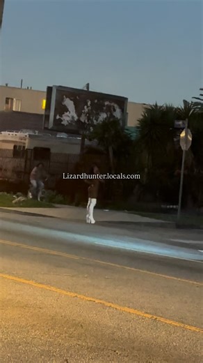 Juan on Instagram: "My friend directing traffic on fig"