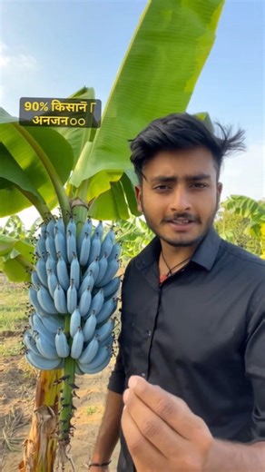 🫵✅“Ice Cream Banana Farming – Ek Kela Jo Market Me Macha Raha Hai😱 Dhamaka!”#shorts#farming#trending