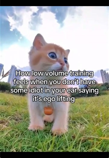 Building Bulky Muscle with Low Volume Training Techniques