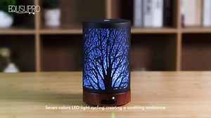 Essential Oil Diffuser Aromatherapy Diffuser - Metal Aroma Diffuser for Home 150ml Ultrasonic Cool Mist Diffuser with 7 Colors Light Auto Shut-Off Protection for Home Office Decor & Gift (Dragonfly)