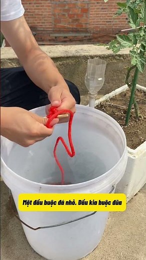Effortless Summer Plant Watering 🌱 This Trick Keeps Plants Green and Thriving Without Worrying Ab...